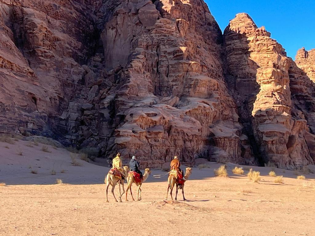 Scarlet Luxury Camp وادي رم المظهر الخارجي الصورة