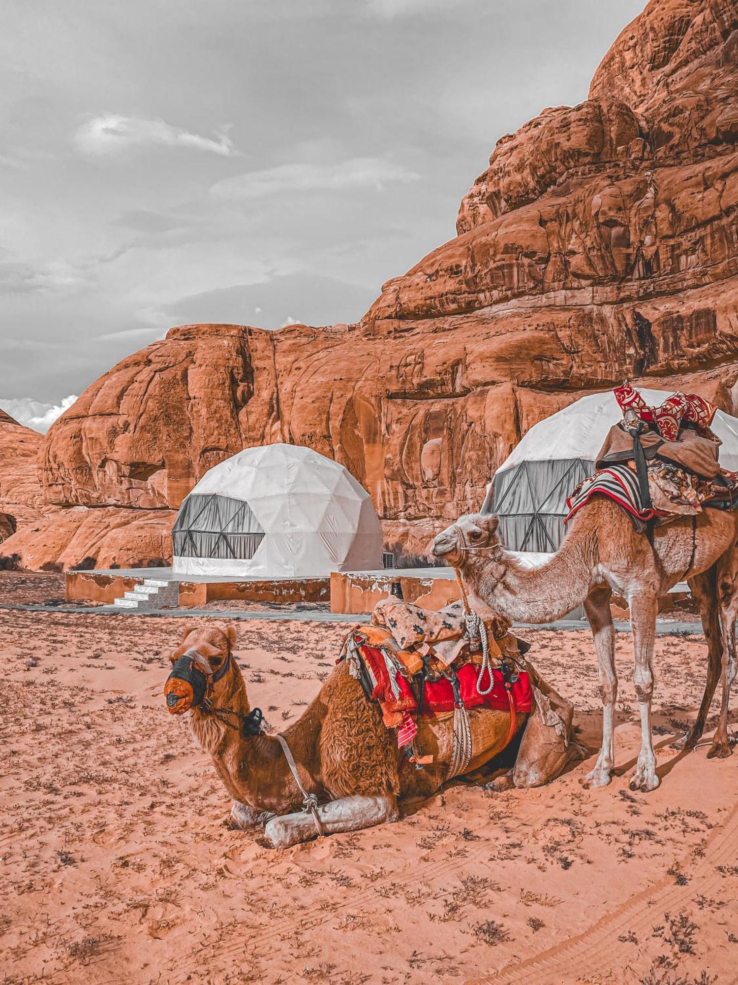 Scarlet Luxury Camp وادي رم المظهر الخارجي الصورة